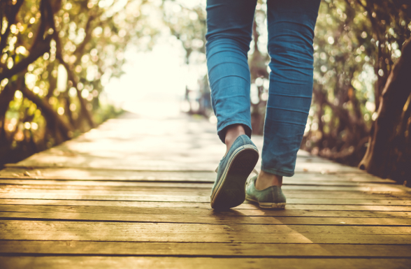Legs of adult wearing jeans walking on a boardwalk